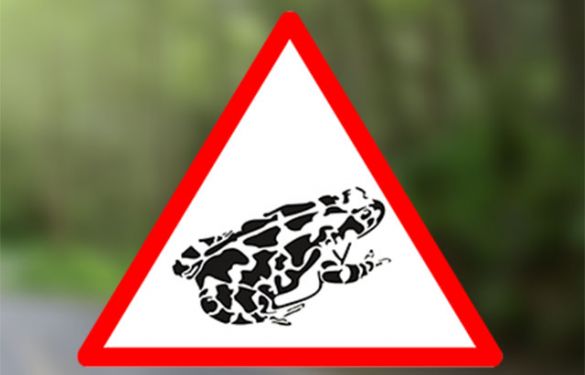 Toad-sign_web