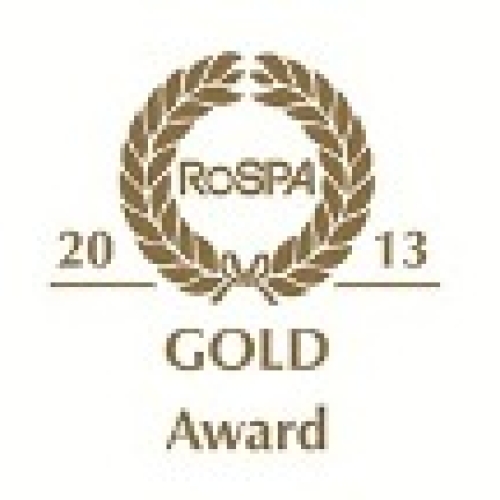 gold award 2013 logo thumbnail 3.jpg