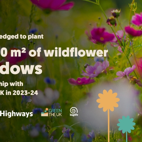 GTUK_VolkerHighways_Marketing Materials_Wildflower_1200 x 675.jpg