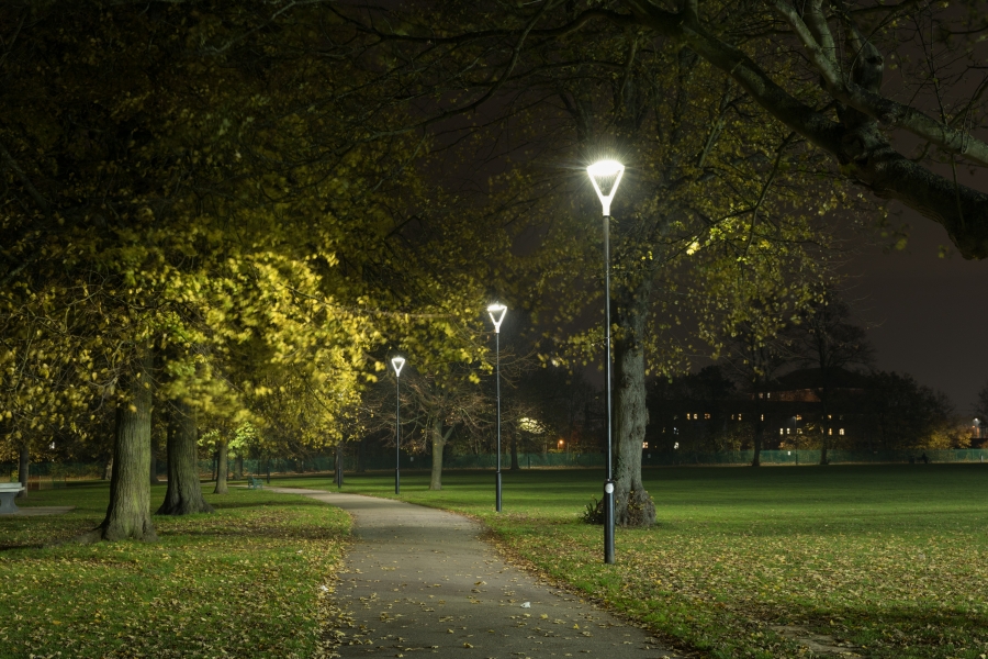 Street lighting in park at night