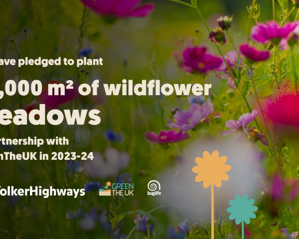 GTUK_VolkerHighways_Marketing Materials_Wildflower_1200 x 675.jpg
