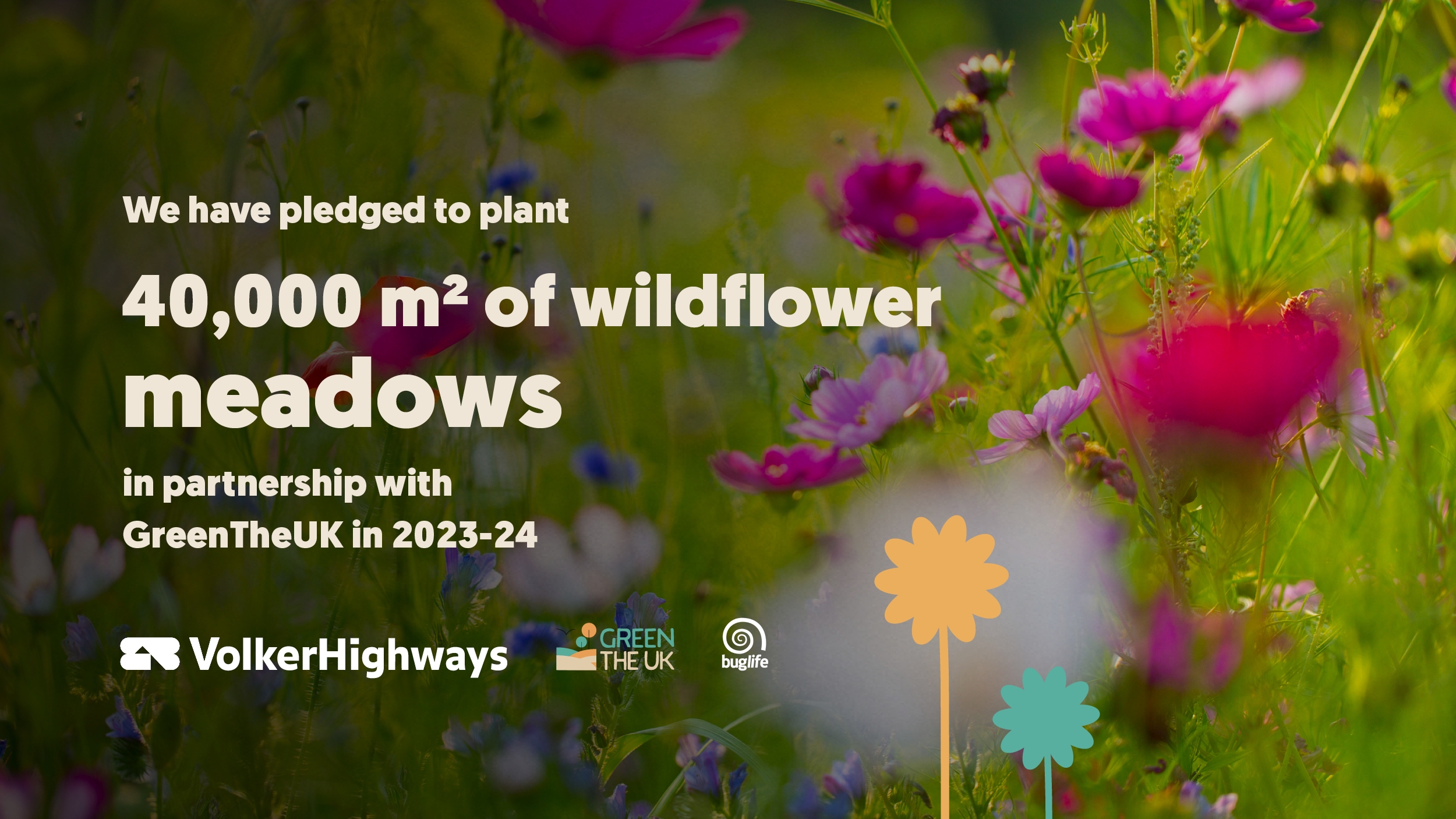 GTUK_VolkerHighways_Marketing Materials_Wildflower_1200 x 675.jpg