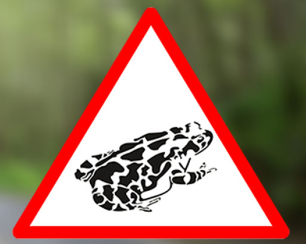 Toad-sign_web.jpg